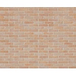 SIMPLISIMA LAD TERRACOTA 6MM 1.2X2.4 M